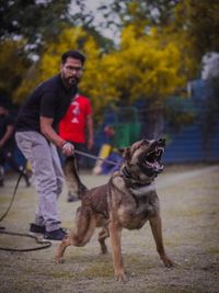 Working Line Dog Breeding