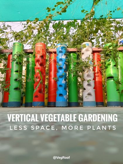 The core principle of my system: less space, more plants. A row of vertical towers allows you to grow a large number of plants in a very small footprint.