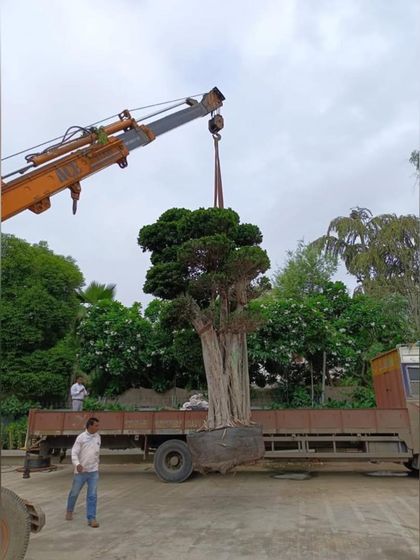 The Art of Installation photo 3