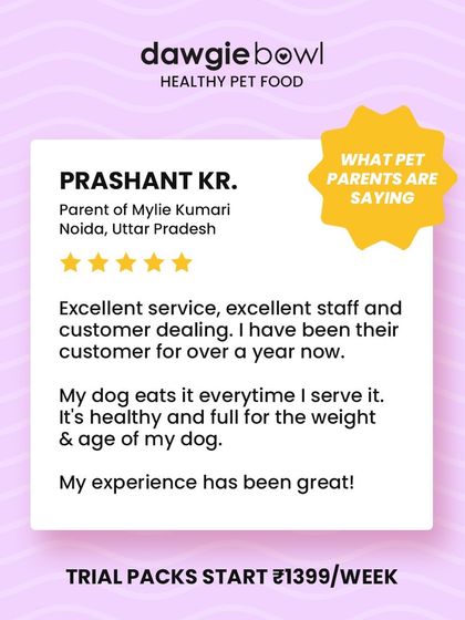 Excellent service and a great experience for over a year. I am delighted to know that this dog in Noida eats our healthy, age-and-weight-appropriate food every time it's served.