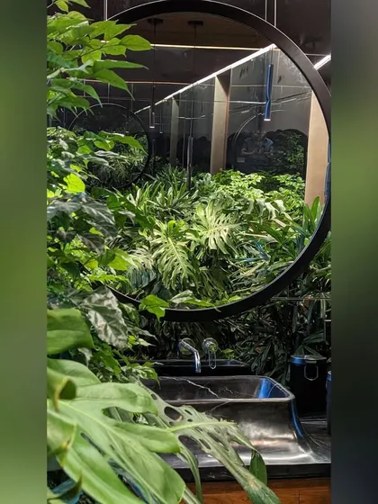 We believe even bathrooms should connect to nature. In this powder room, a large circular mirror reflects a dense wall of indoor plants, creating the illusion of being in a lush forest.