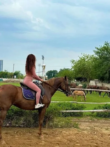 A rider takes a moment to enjoy the view of our green pastures, where other horses are grazing peacefully.