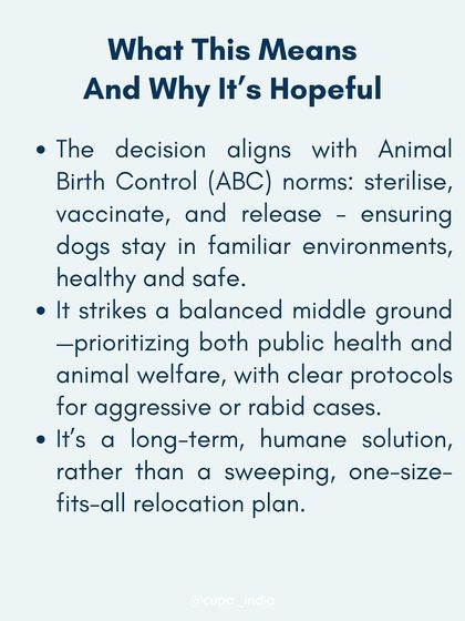 Cupa - Animal Cruelty Legal Aid & Advocacy Our Legal Fight for Animals photo 22