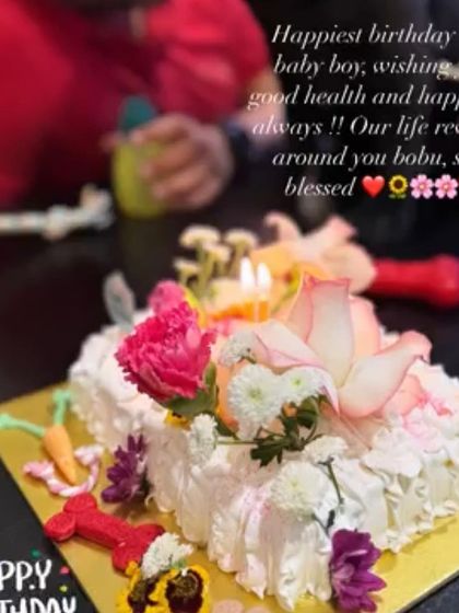 Another happy customer moment with the flower garden cake, this time for a beloved pet's birthday!