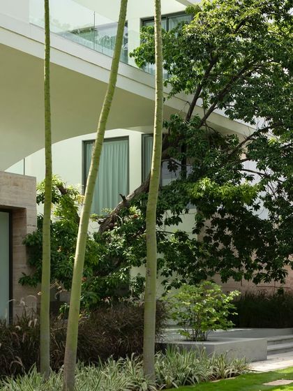 A modern home facade softened by carefully selected plantings. Slender palm trees and ornamental grasses contrast with the clean lines of the architecture, while a Corten steel screen adds a layer of texture and privacy.
