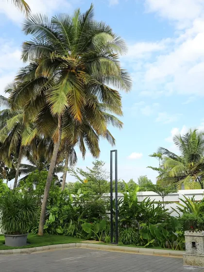 This shows the landscaping around a property entrance, featuring mature palm trees and dense underplanting. I maintain these areas to ensure they are welcoming and reflect the quality of the property.
