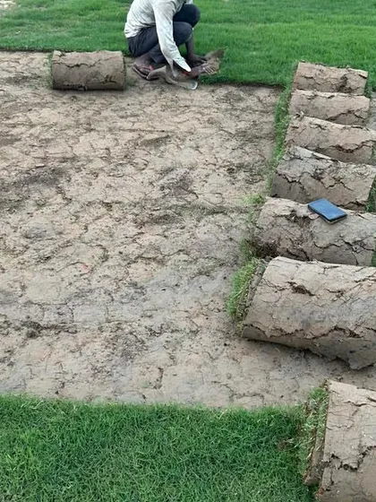 Here you can see my team member carefully laying down fresh turf rolls. This method provides an instant lawn, giving you a green garden without the long wait of growing from seed.