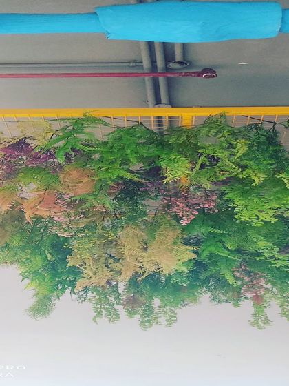 An industrial-style ceiling installation. I attached a mesh grid to the overhead pipes and filled it with artificial ferns and plants to hide the pipework and add greenery.