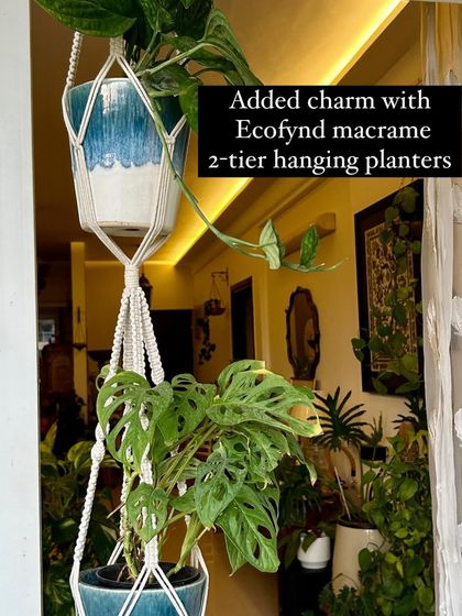 Sushmita - Home Styling & Decoration My Green Sanctuaries: Balcony & Indoor Plants photo 25