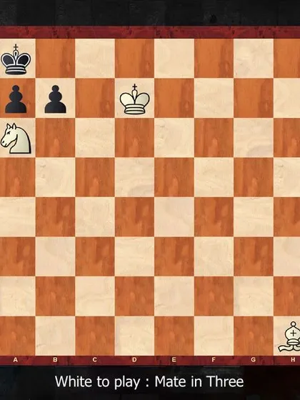 Test your endgame skills with this puzzle. White can force a checkmate in three moves.