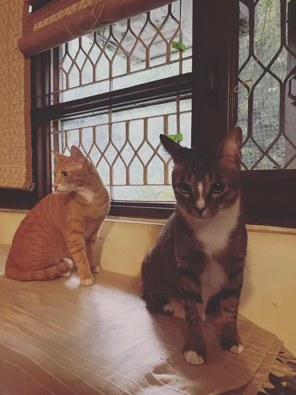 Gabe and Jerry sitting together. It's great to see them so relaxed in a new environment.