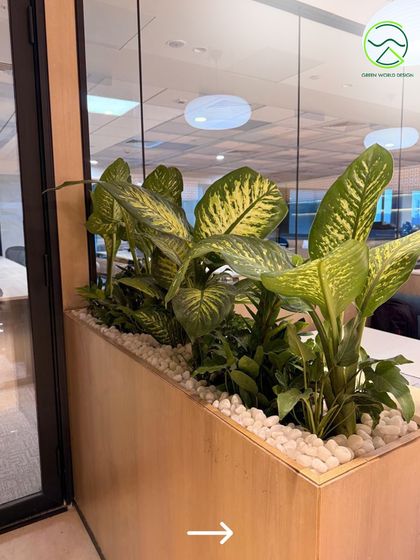 Another perspective of the planter design, showing how the varied leaf textures and heights create a dynamic yet cohesive green feature. This approach to biophilic design ensures the space feels alive and thoughtfully curated.