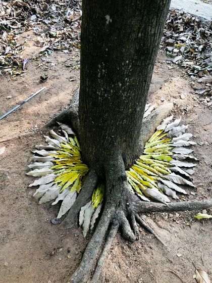 Sometimes the most beautiful collaborations are with nature itself. I love creating these meditative, temporary art pieces using found materials like fallen leaves, stones, and twigs. It’s a practice of being present and finding art in the world just as it is.