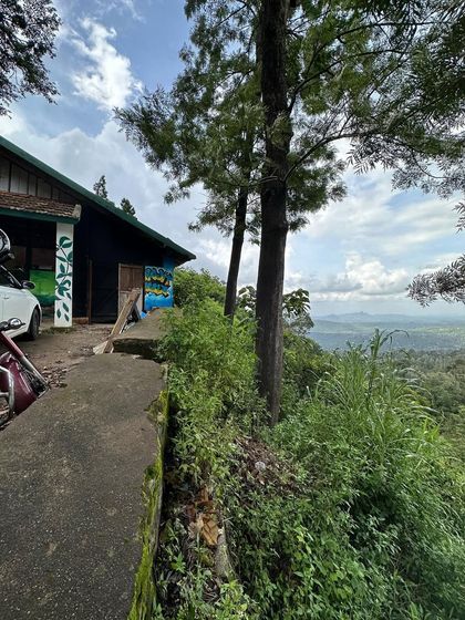 The stunning location of the Wayanad project. Painting with a view like this, surrounded by hills and greenery, is what being a 'ghoomakkad' artist is all about.