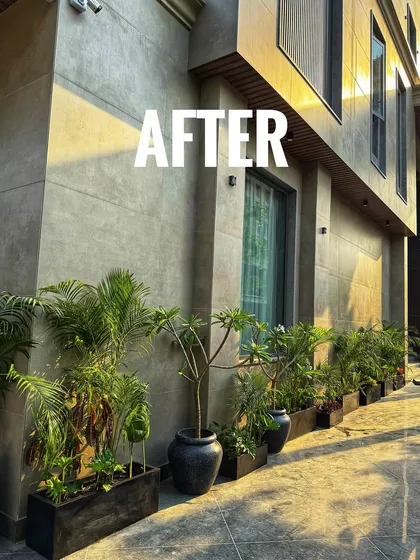 After: The same walkway transformed into a bright and welcoming path. I used a mix of real and artificial plants in modern planters to create a beautiful, low-maintenance green border.