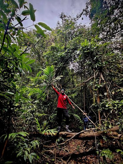 A trekker stands on a log in a dense jungle, surrounded by lush greenery. This shot captures the adventurous spirit of exploring offbeat trails.