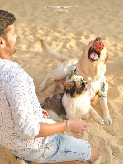 Priyanka - Family & Pet Photography Paws & Play photo 5