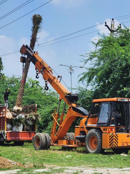 Delhi Gardner - Full-Service Landscaping Statement Trees & Sculpted Topiaries photo 11