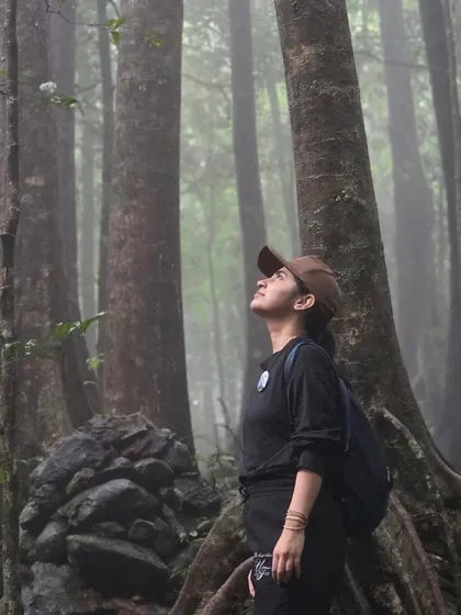 A trekker looking up at the canopy of the dense shola forest on the Kurinjal trail. The mist adds a magical, mysterious feel to the woods.