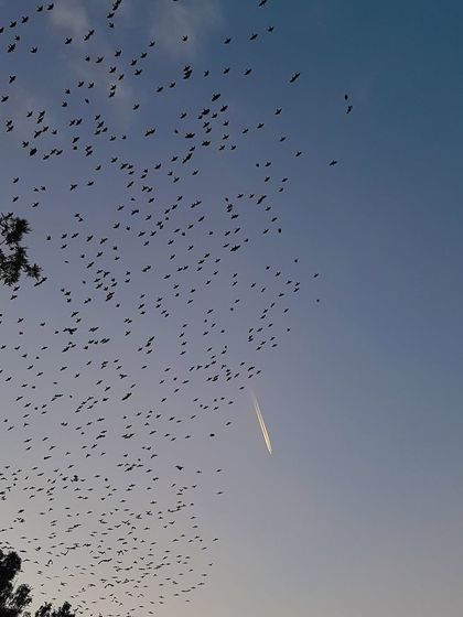 Abstracts & Details photo 10