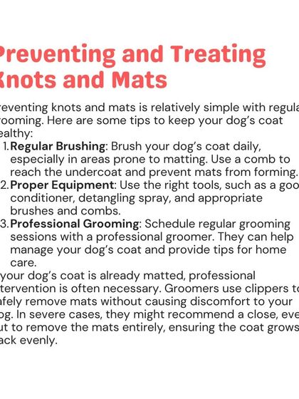 Woofly - At-Home Pet Grooming My Guide to a Healthy Pet photo 32