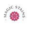 Magic Stains