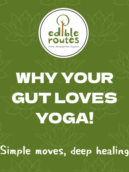 A simple, bold graphic asking "Why Your Gut Loves Yoga!" to promote our wellness workshop.