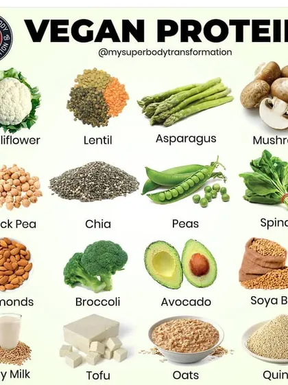 Your diet is your foundation. I provide guidance on all types of protein sources, including a full range of vegan options like lentils, tofu, and quinoa, to support your specific health and fitness goals.