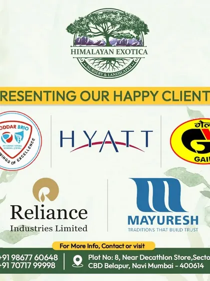 I am proud to have worked with some amazing companies to help them share the gift of green. This is a look at some of my valued corporate clients, including Hyatt and Reliance, who trusted me with their gifting needs.