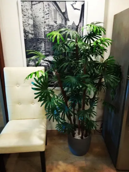 An artificial Rhapis palm, also known as a Lady Palm, sits next to a dining chair. Its fan-like leaves add a unique texture and a touch of exotic elegance to the room.