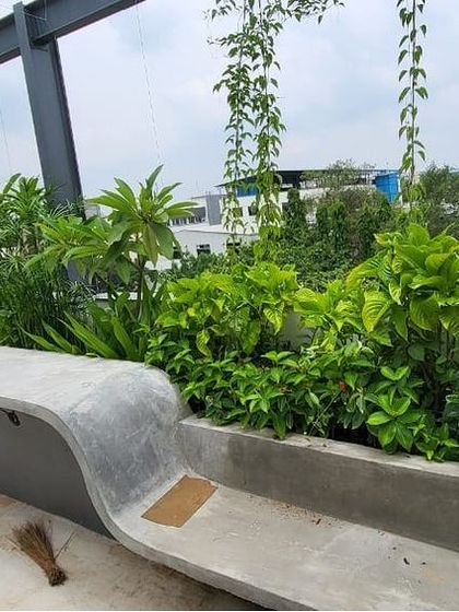 Multiplex Urban Green - Landscape & Garden Services Balcony & Terrace Transformations photo 4