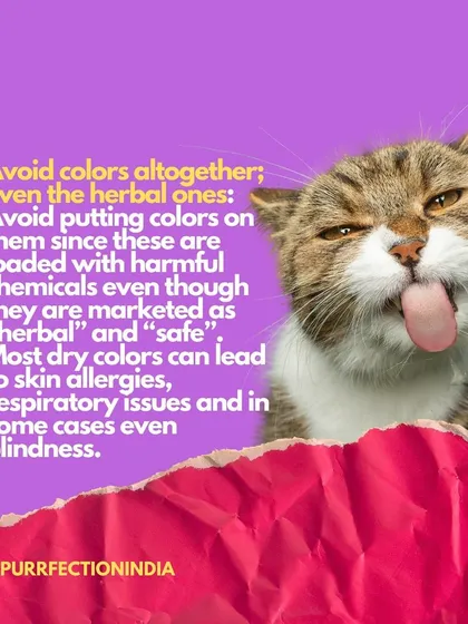 Please avoid putting any colors on pets, even the "herbal" ones. They contain harmful chemicals that can cause skin allergies, respiratory issues, or even blindness.