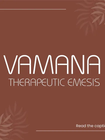 This introduces our detailed guide to Vamana therapy. Vamana is a cornerstone of Panchakarma, focused on therapeutic emesis to clear excess mucus and toxins from the upper body, providing relief from a range of conditions.