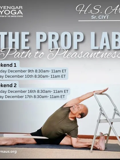 Announcing "The Prop Lab: Path to Pleasantness," a weekend workshop series hosted online by IYNAUS.
