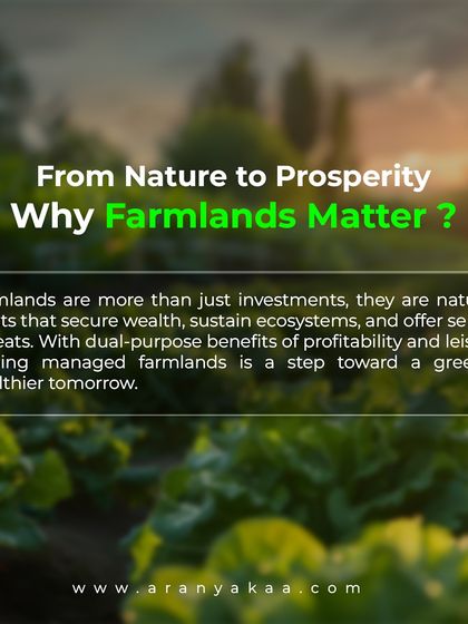 Farmlands are more than just investments; they are nature's assets that secure wealth, sustain ecosystems, and offer serene retreats. Owning managed farmland is a step toward a greener, wealthier tomorrow.
