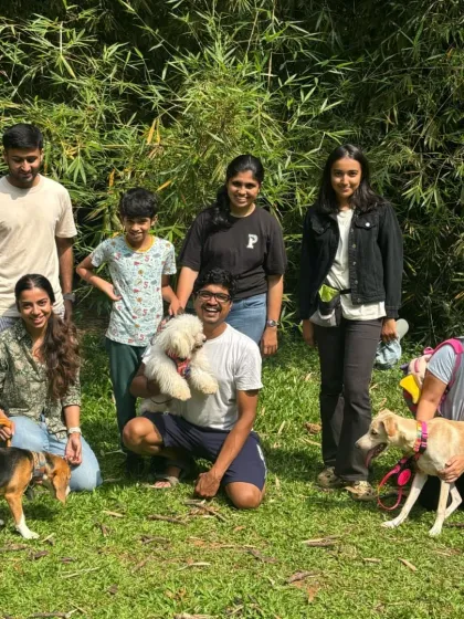 A successful socialization session is not about a chaotic free-for-all. Here, we are practicing engagement with parents and calm neutrality in the presence of other dogs, which are the foundational skills for good social behavior.
