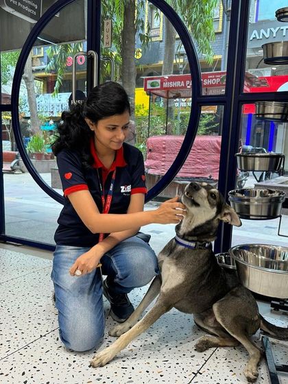 Zigly - Veterinary Services For the Love of All Animals: Community & Rescue Work photo 6