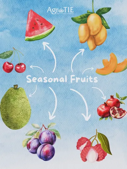 This graphic explains why we believe in eating seasonal fruits. They offer better taste, more nutrients, and support local farmers, all while being friendlier to our planet and your budget.