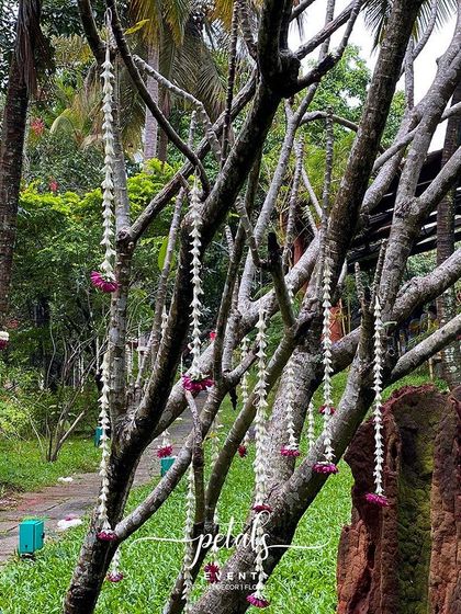 Petals - Wedding Decoration & Styling Exquisite Floral Details photo 19