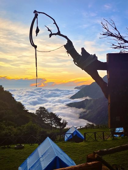 A creative shot of the campsite at sunrise, framed by the silhouette of a tree branch.