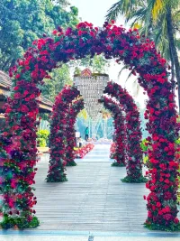 Wedding Decoration