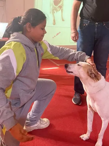 A student shares a gentle moment with Rocky. Interactions like these help build empathy and teach the next generation how to safely and kindly approach animals.