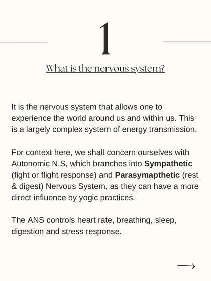 The Philosophy of Yoga photo 12