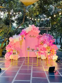 Birthday Party Decorations