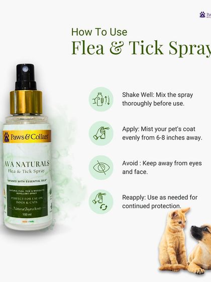 PawsnCollars - Veterinary Care Our Curated Pet Shop photo 5