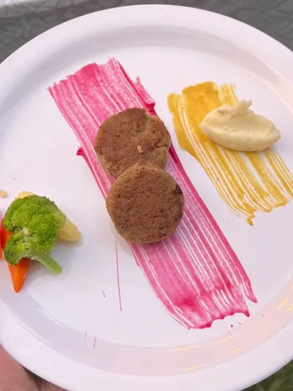 Another gourmet creation from our event menu. Pet food can be healthy, fresh, and look like a work of art.