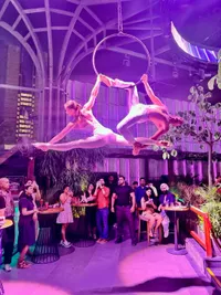 Aerial Performances