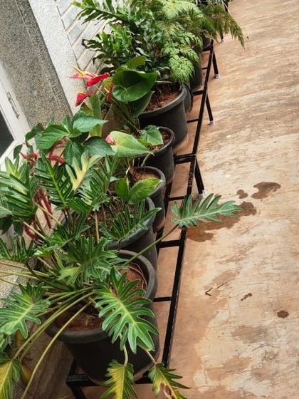 The Garden Hub - Garden Maintenance Garden Stands & Terrace Protection photo 7