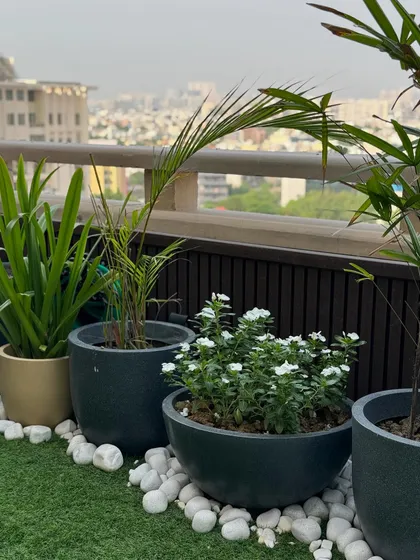 This view highlights the contrast between the natural greenery and the urban background. Our terrace designs are all about creating a personal paradise, no matter the location.