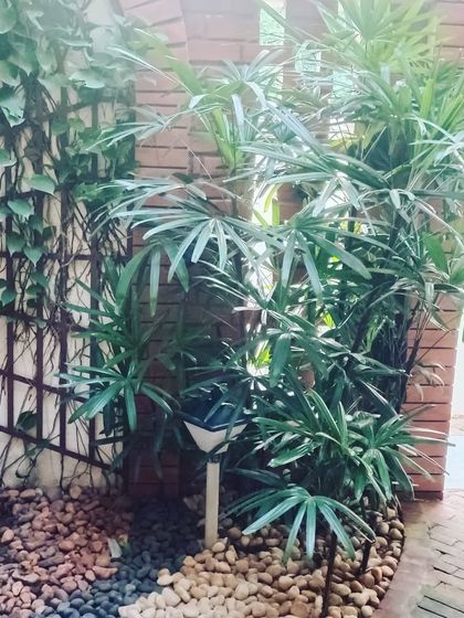 Pathways, Patios & Hardscaping photo 32